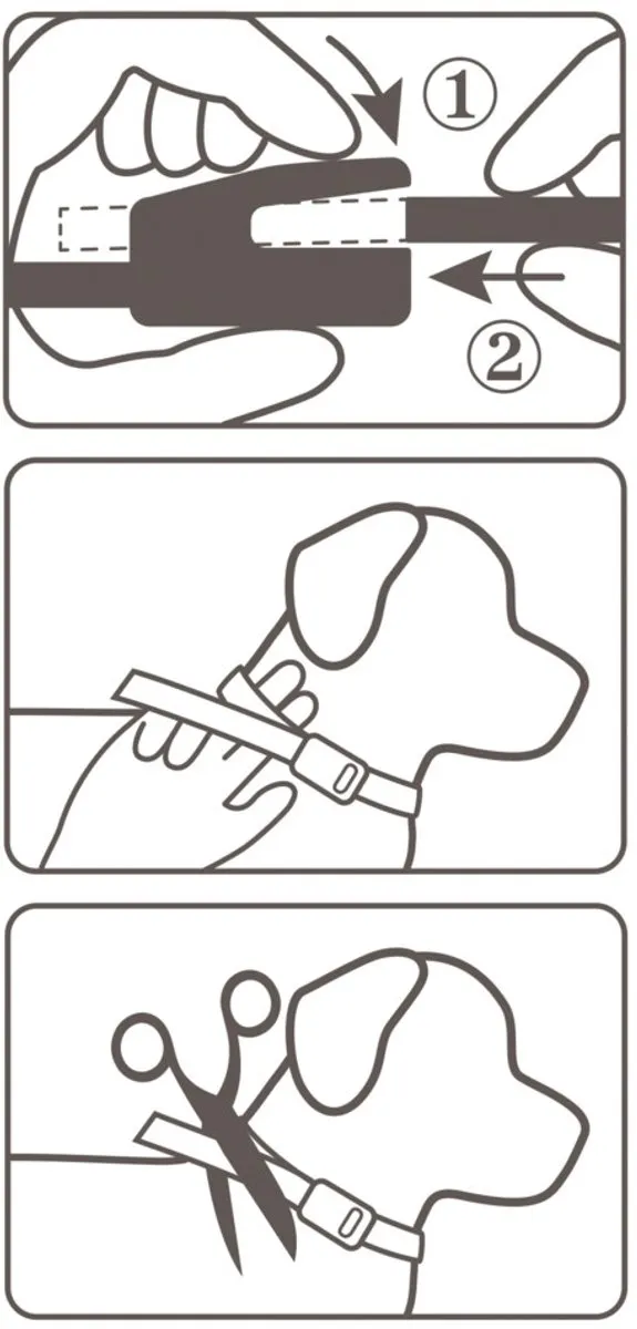 Beaphar Canishield Anti Vlooien & Tekenband Hond L - 20 Stuks