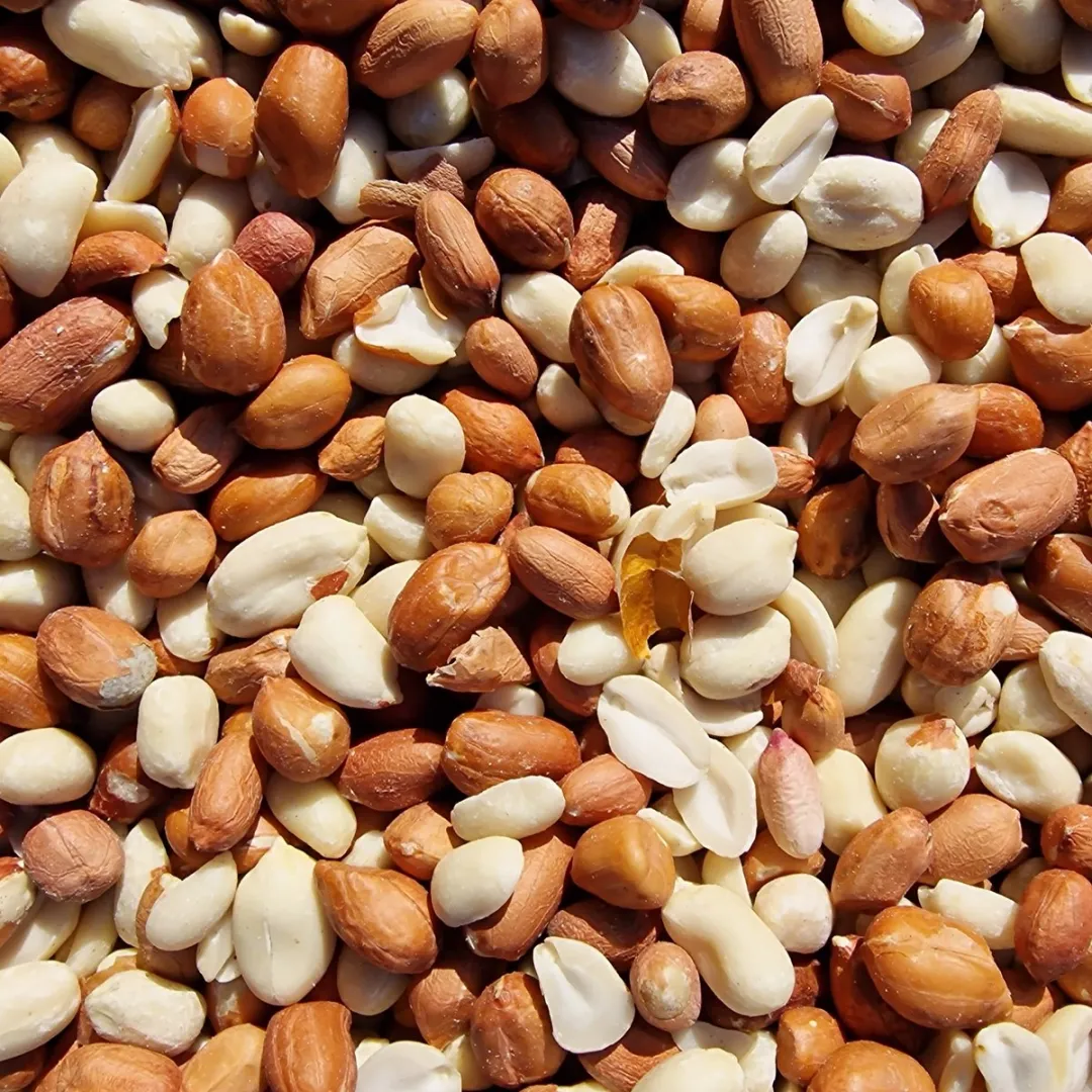 Topdiervoeding Gepelde Pinda's Vogels 10kg