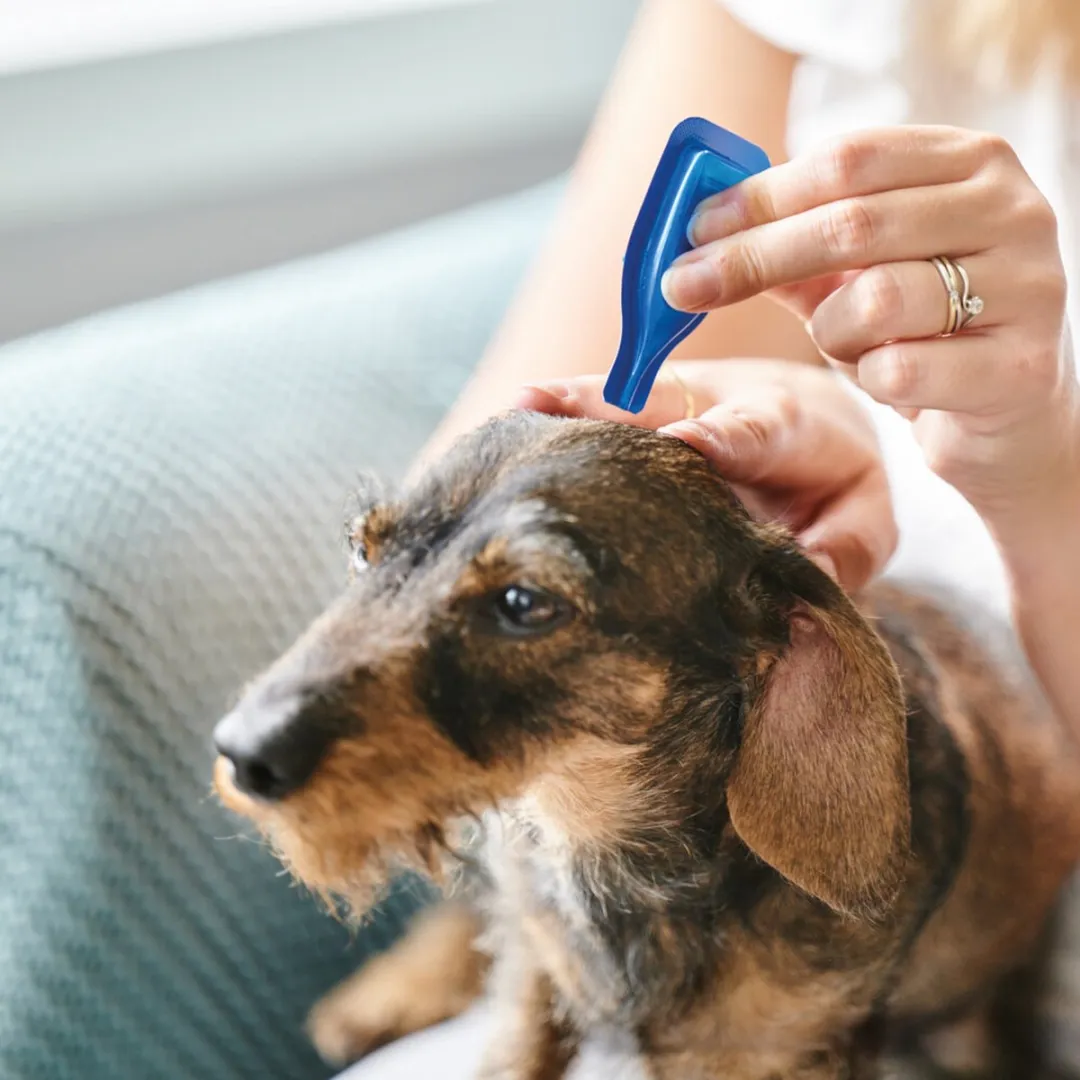 Beaphar No Stress Spot On Hond - 6x3 Pipetten
