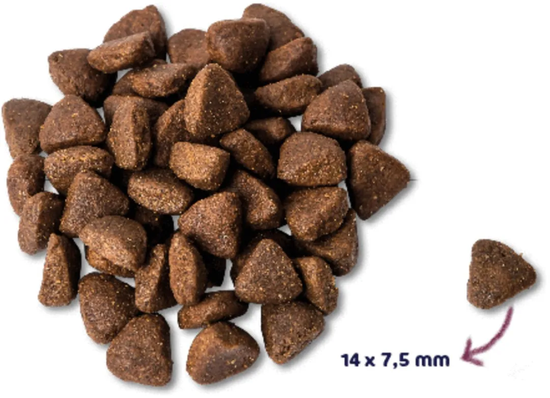 Renske Adult Kip Hondenvoer - 2 kg Graanvrij