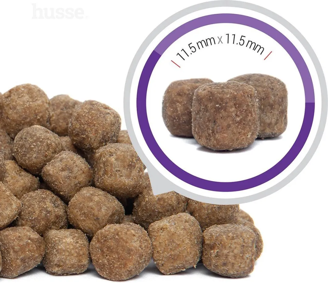 Husse Senior Hondenbrokken - 2x12kg