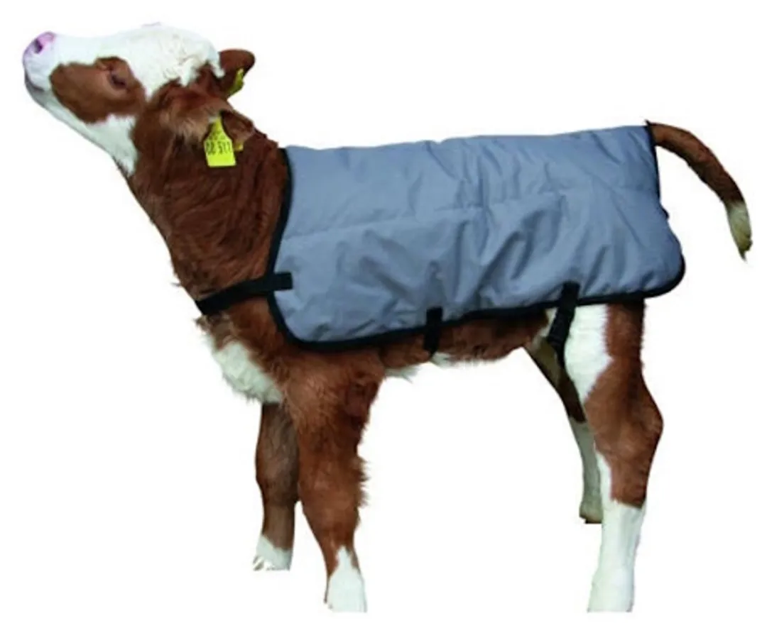 Kerbl Kalverdeken - 70 cm