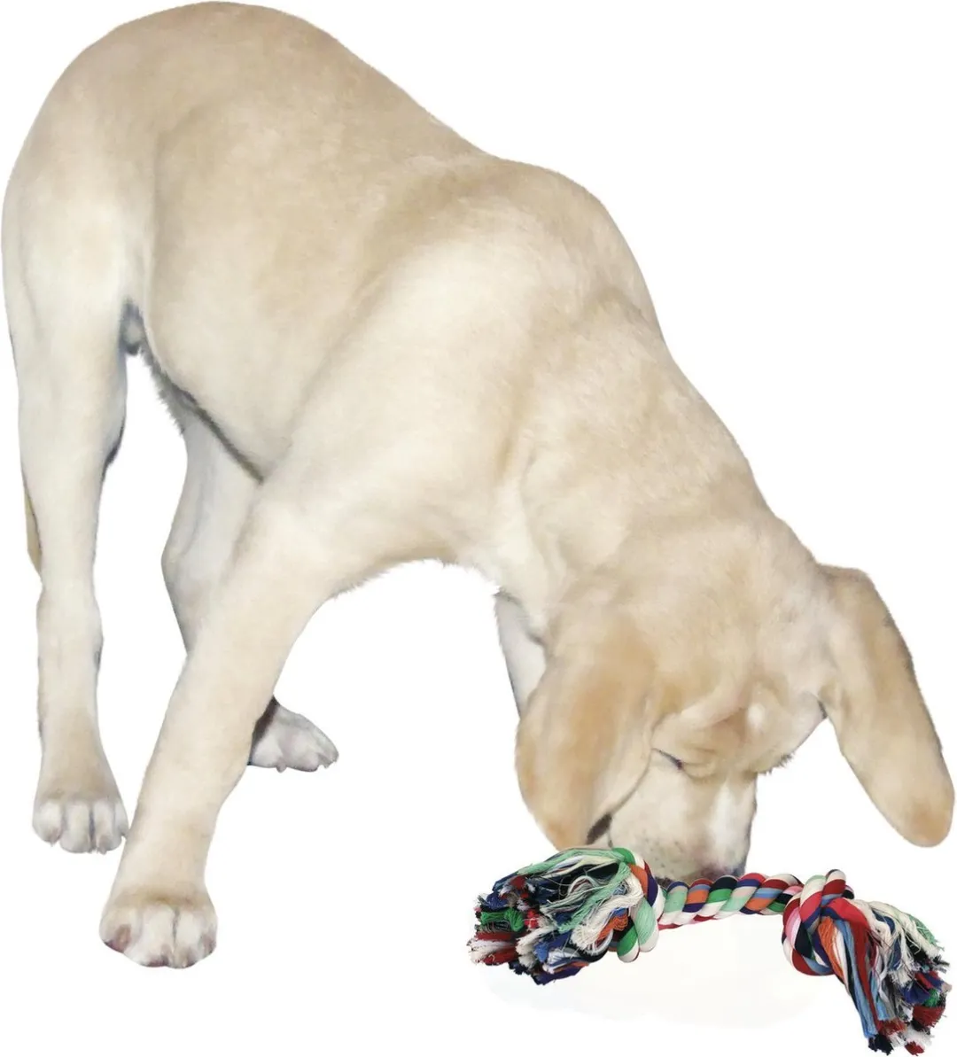 Kerbl Katoenen Flostouw 37cm - XL - Kleurrijk