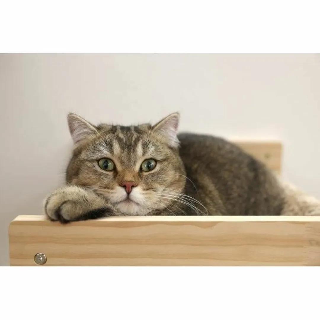 Kerbl Wandhangmat voor Katten 38x33,5cm Massief Hout Beige
