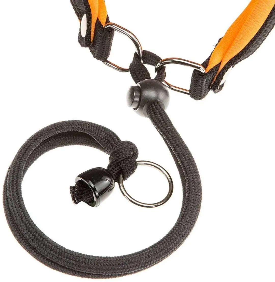Ferplast Agila Fluo 2 Hondenharnas - S - 370mm - Oranje