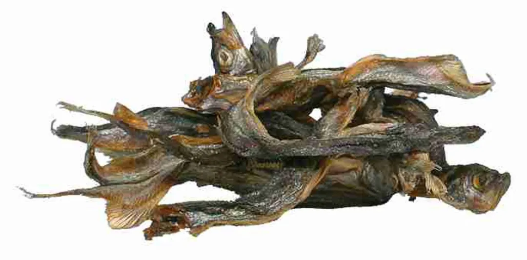 Trixie Droogvis 400g