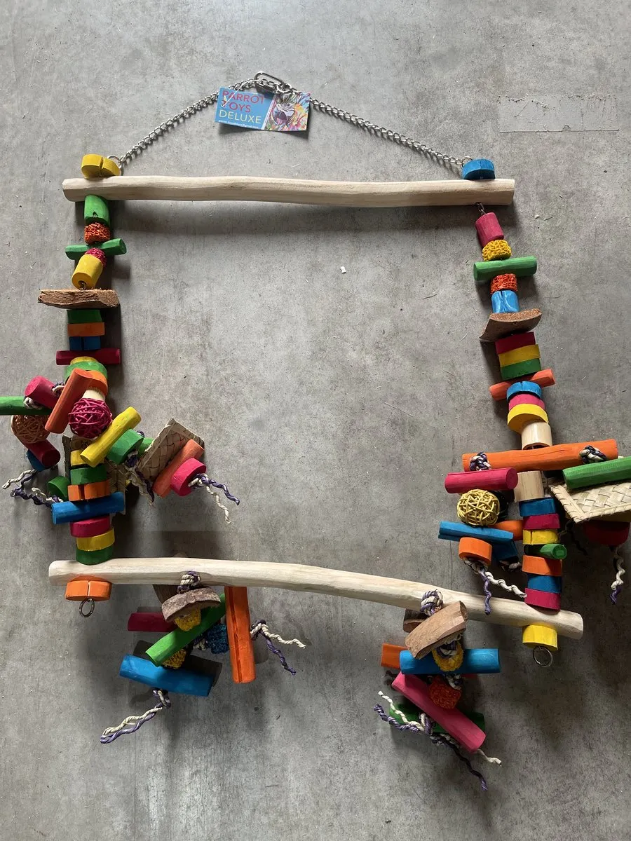 Parrots Toys Deluxe Munchy Swinger