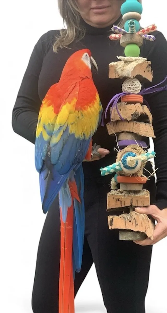 Speelgoed voor groot en middelgroot vogels