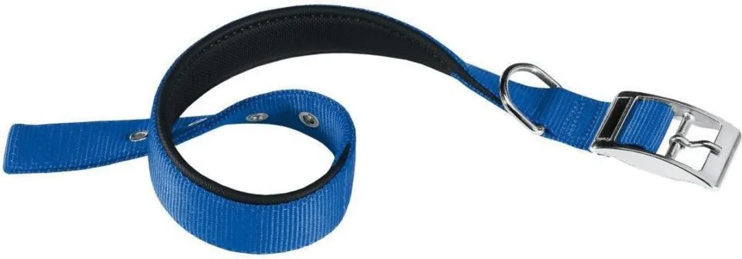 Ferplast Hondenhalsband Daytona 35 x 1,5cm
