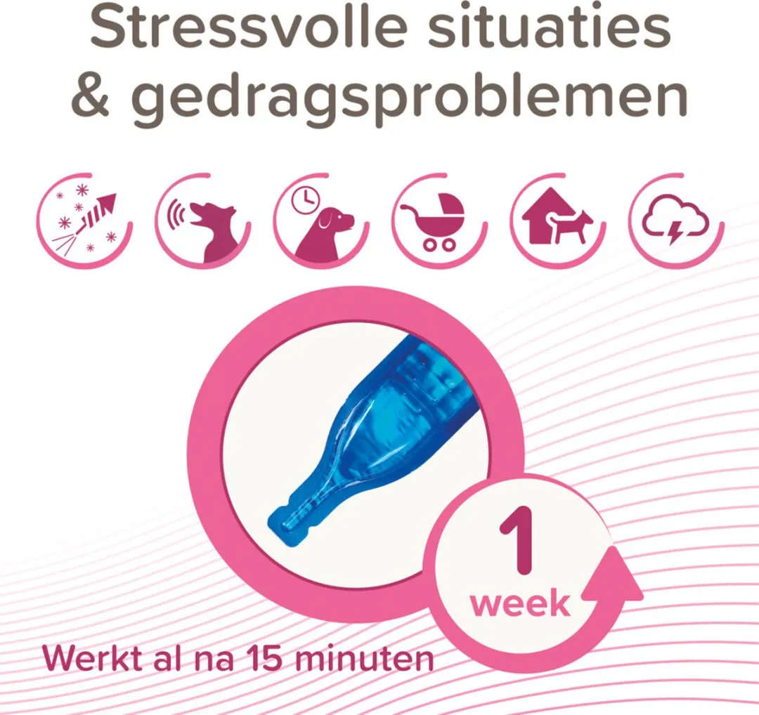 Beaphar CaniComfort Rustgevende Spot-On Hond - 3 Stuks - afbeelding 6 van 6