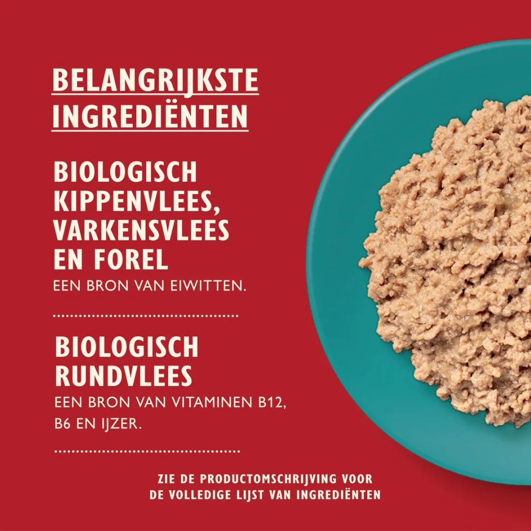Lily's Kitchen Biologische Paté Zeevis Kattenvoer - 19x85g