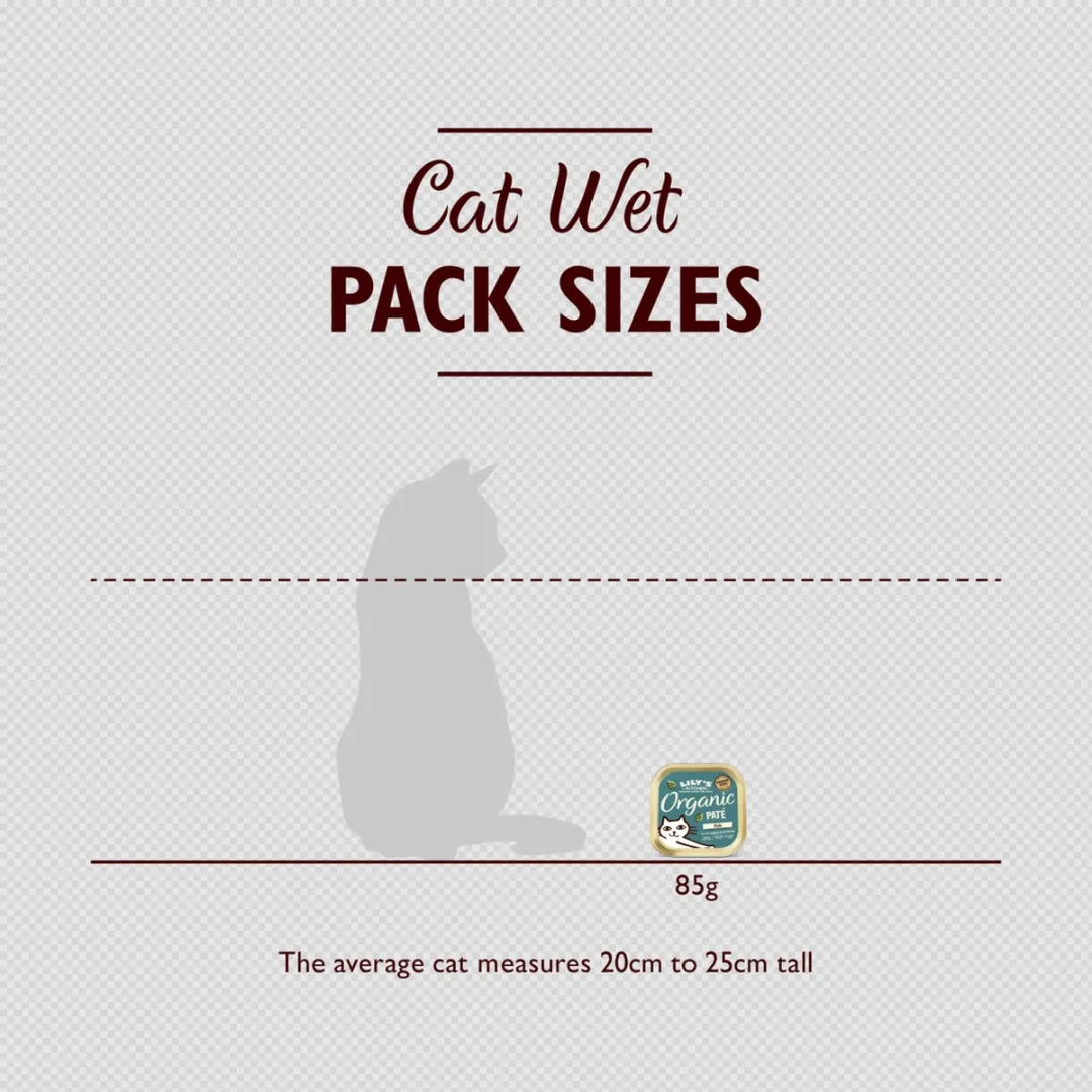 Lily's Kitchen Biologische Paté Zeevis Kattenvoer - 19x85g