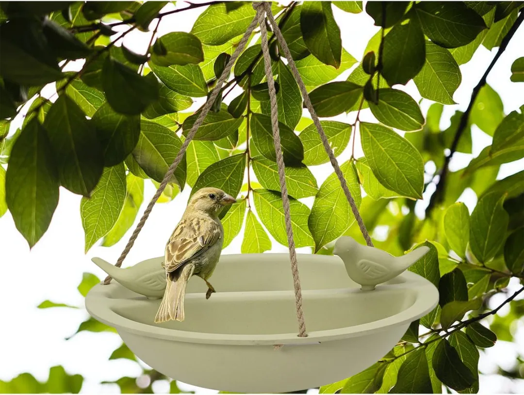 Decoris Vogelbad/drinkschaal Lichtgroen - Bamboe - D27cm