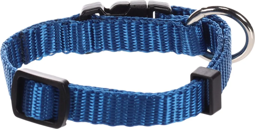 Flamingo Ziggi Halsband Blauw XXS 15-25cm