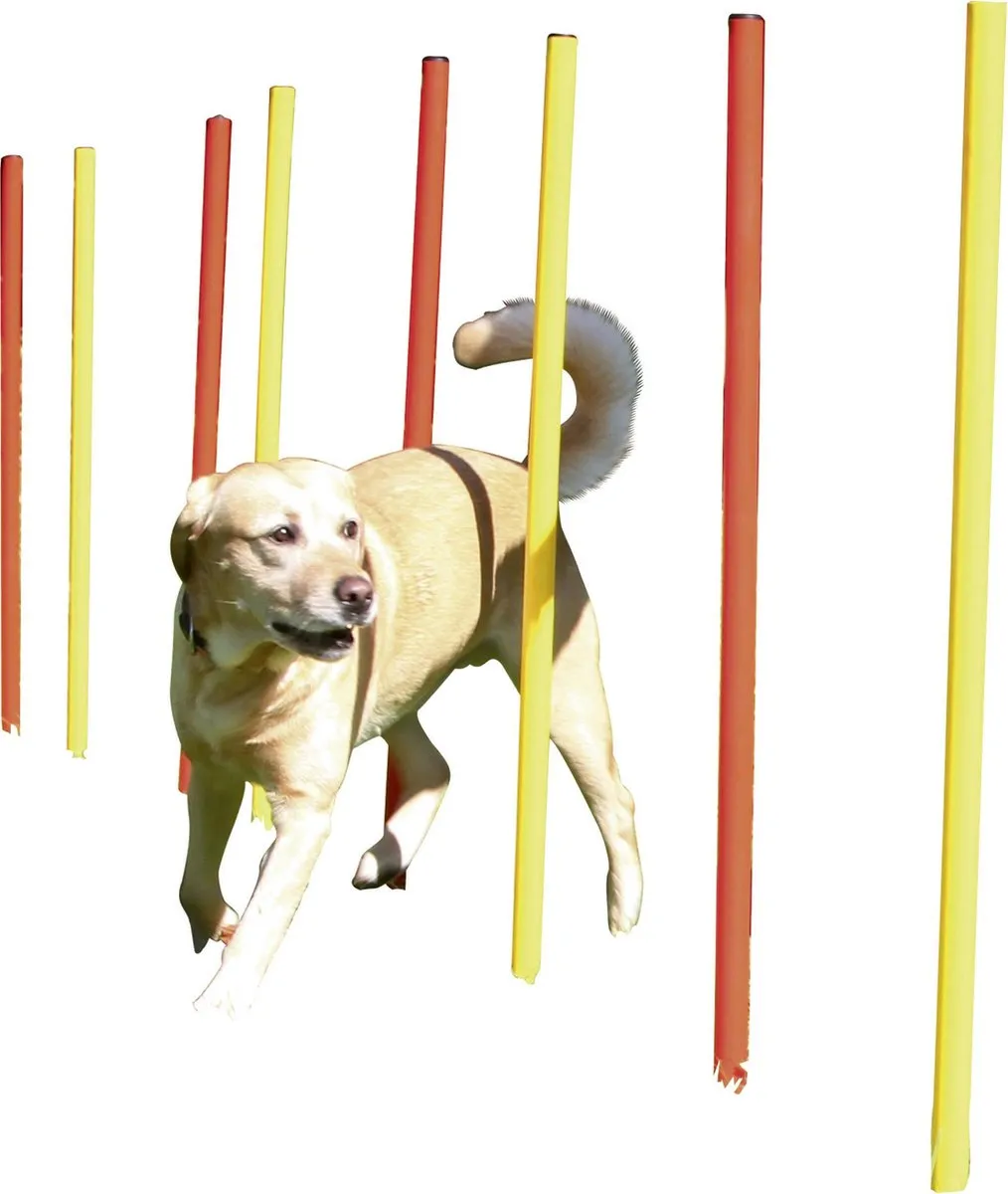 Kerbl Agility Set - Multikleur
