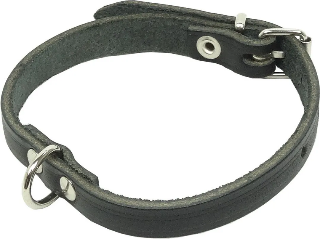 Kerbl Lederen Halsband 22-28cm - Zwart