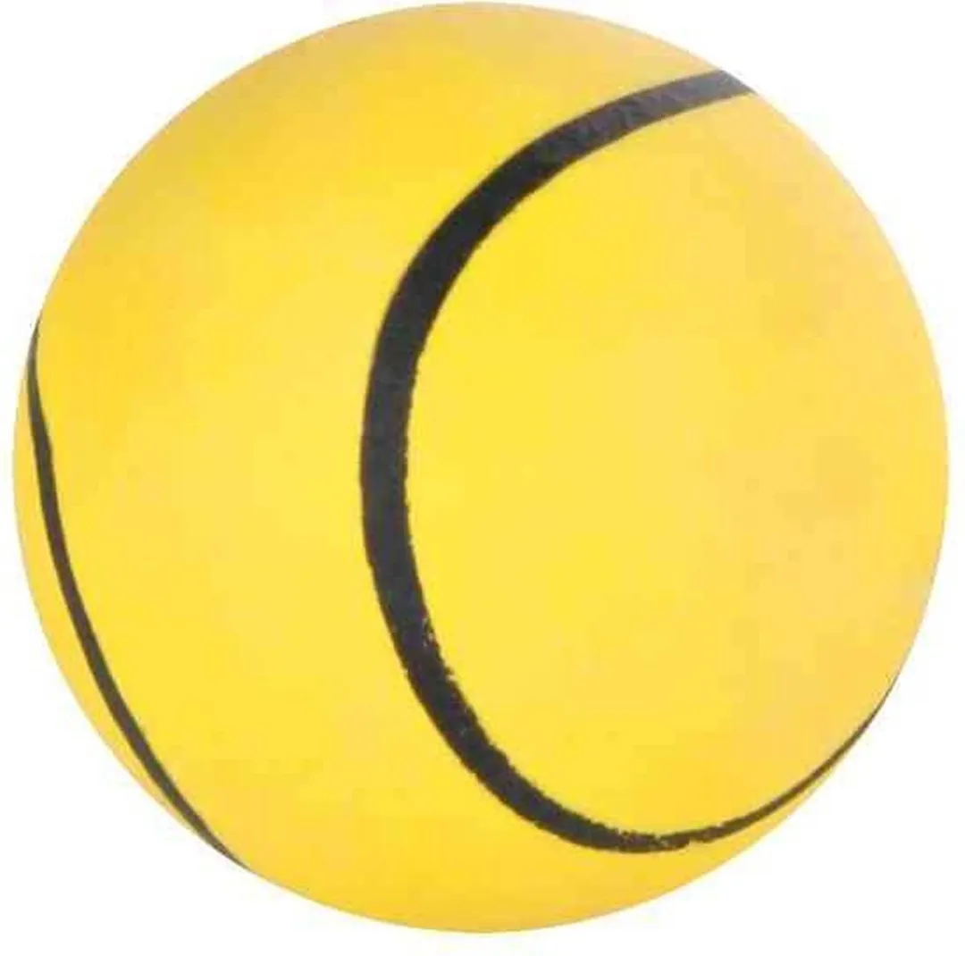 Trixie Sportbal voor Honden Ø5,5cm - 1 Stuk - afbeelding 4 van 6