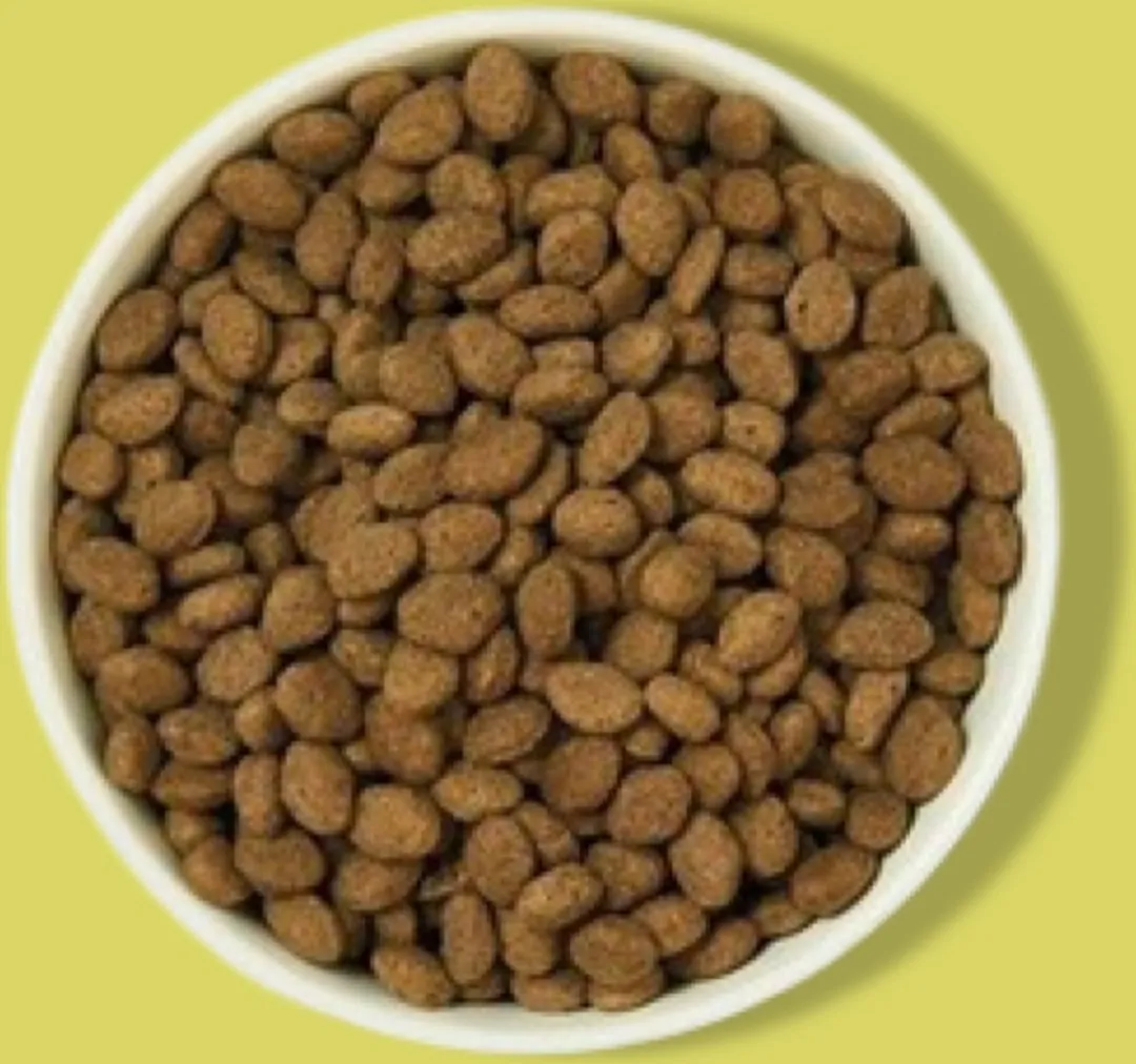 Lily's Kitchen Adult Lamsschapenvleespastei 1kg