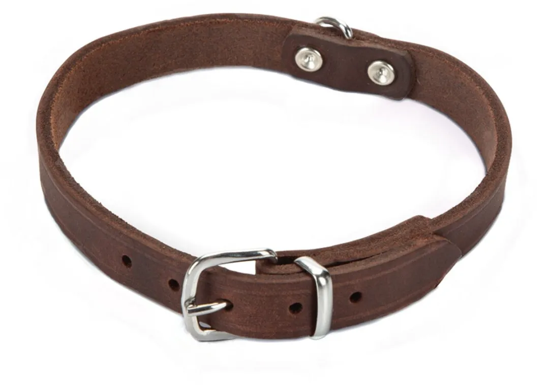 Beeztees Halsband Hond Bruin