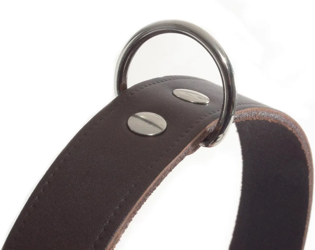 Beeztees Halsband Hond Bruin - 35,5-41,5cm x 18mm