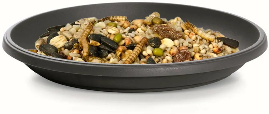 Prosperplast Vogelbad Antraciet - Ø21cm