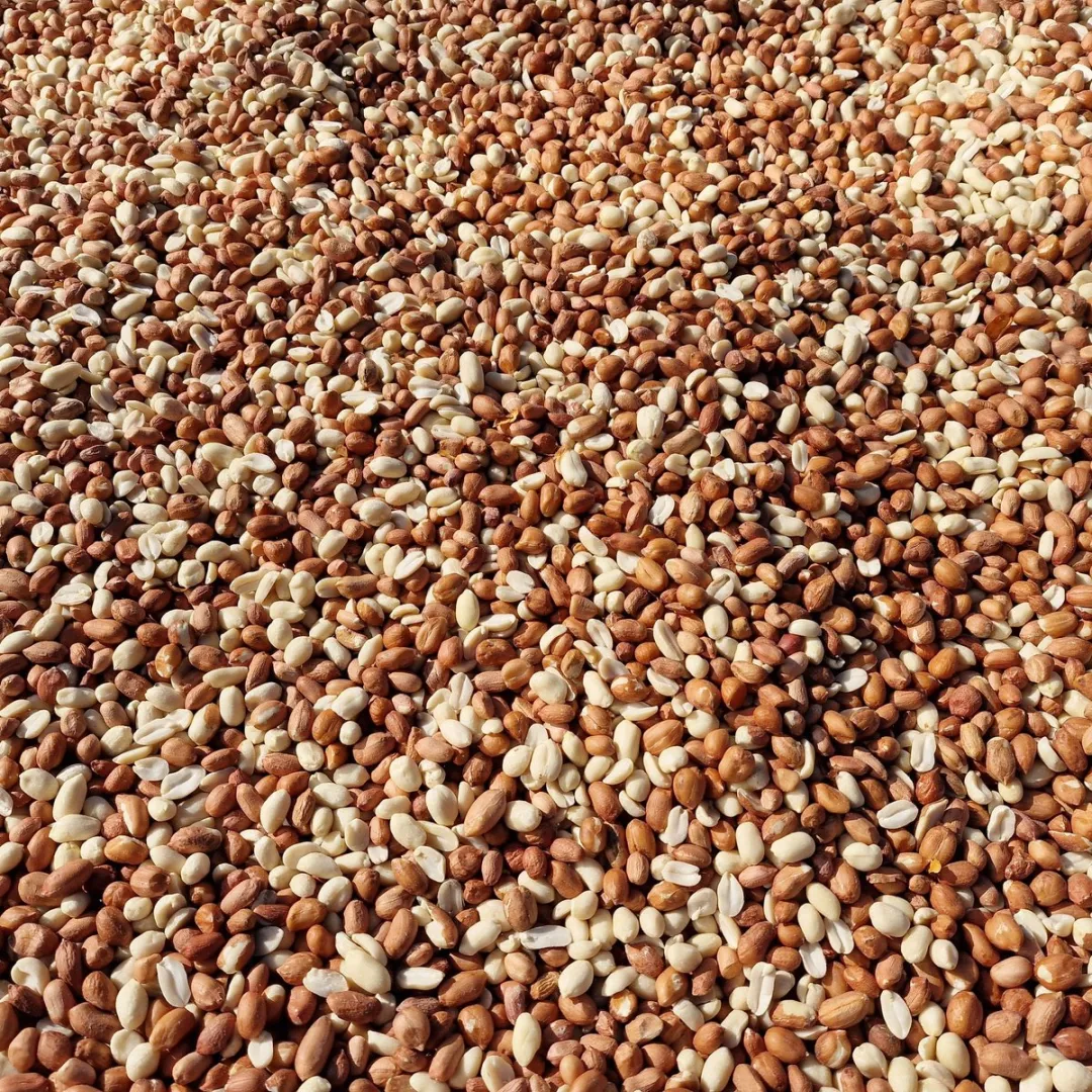 Topdiervoeding Gepelde Pinda's voor Vogels 20kg