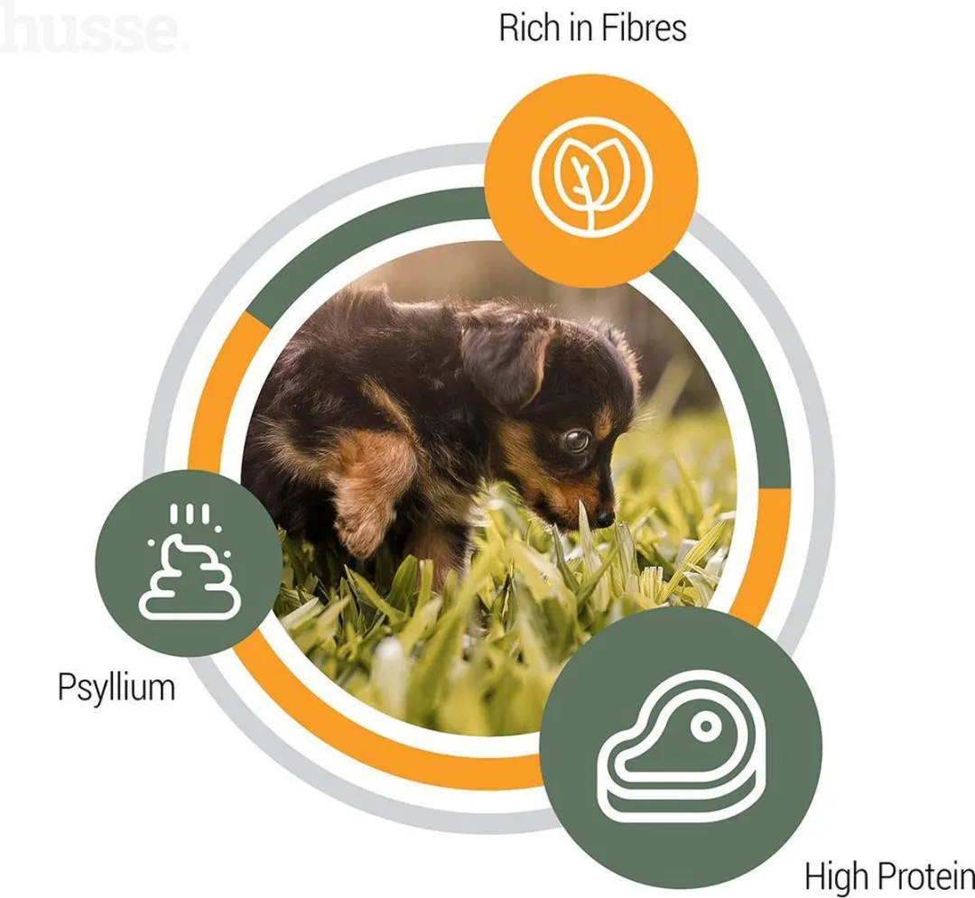 Husse Valp Plus Puppyvoer Droog - 12,5 kg