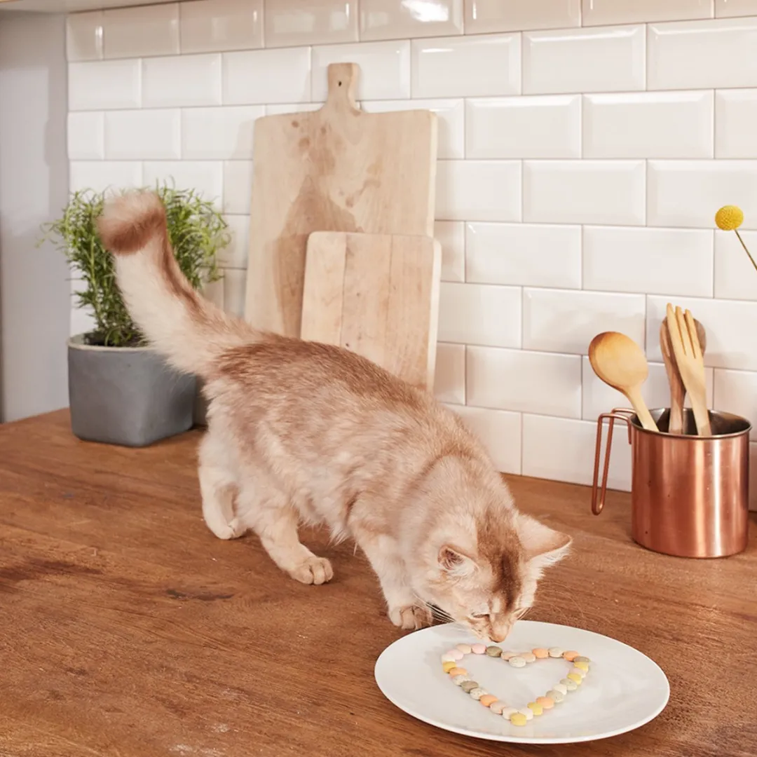 GimCat Kaas Rollis 140g - afbeelding 6 van 6