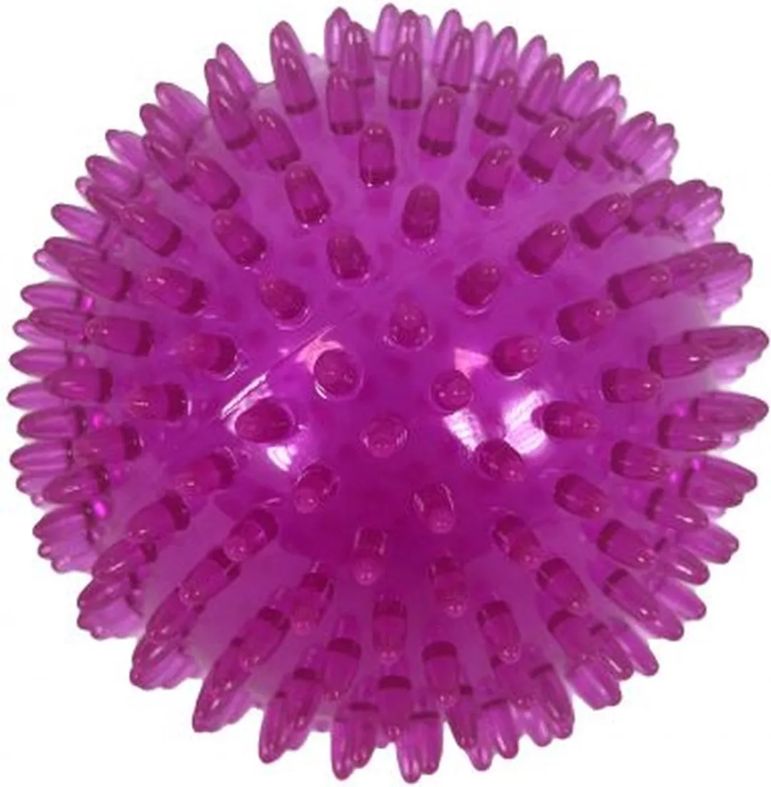 Zolux Pop TPR Stekelbal Roze