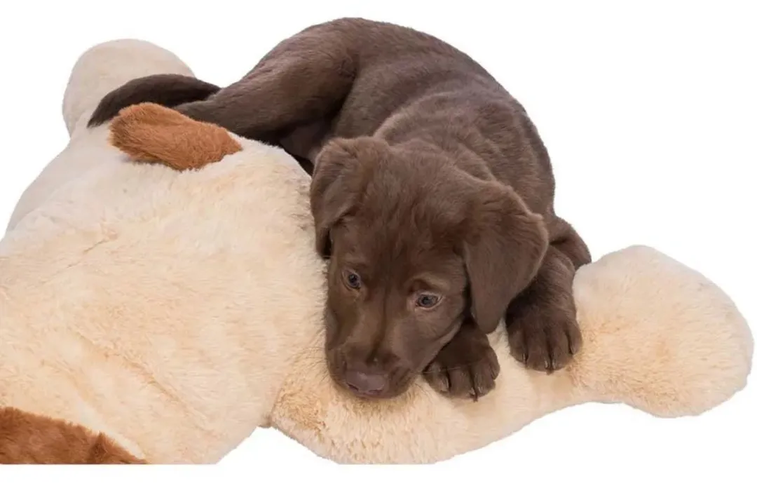 Trixie Hondbenny Pluche - Beige/Bruin