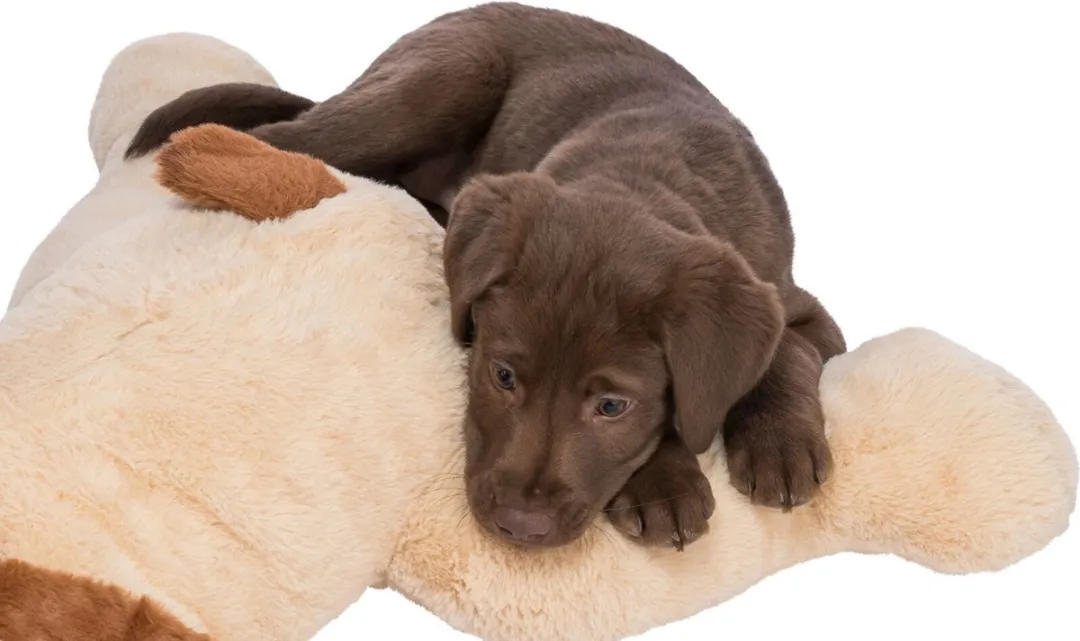 Trixie Hondbenny Pluche - Beige/Bruin