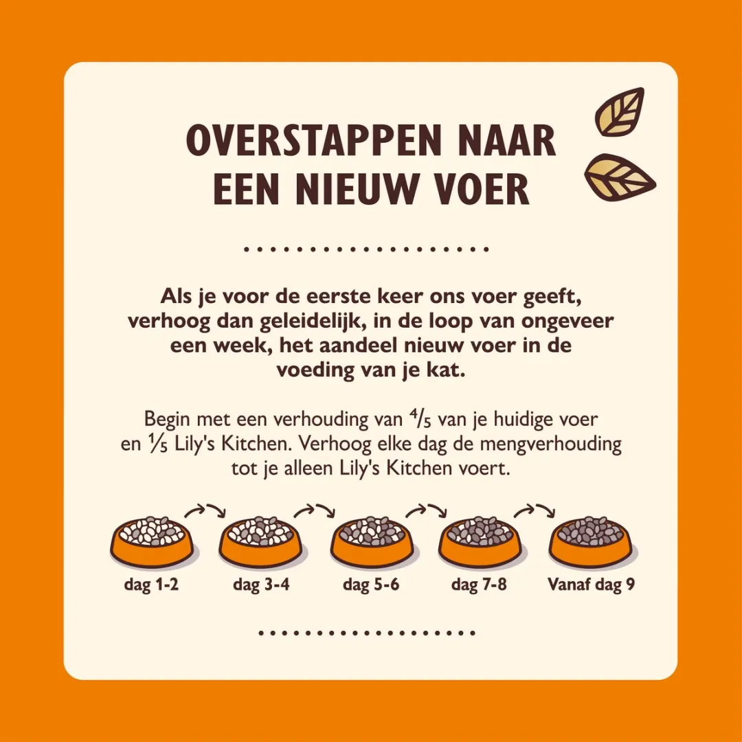 Lily's Kitchen Natvoer Zeevis Kat - 24 x 85g