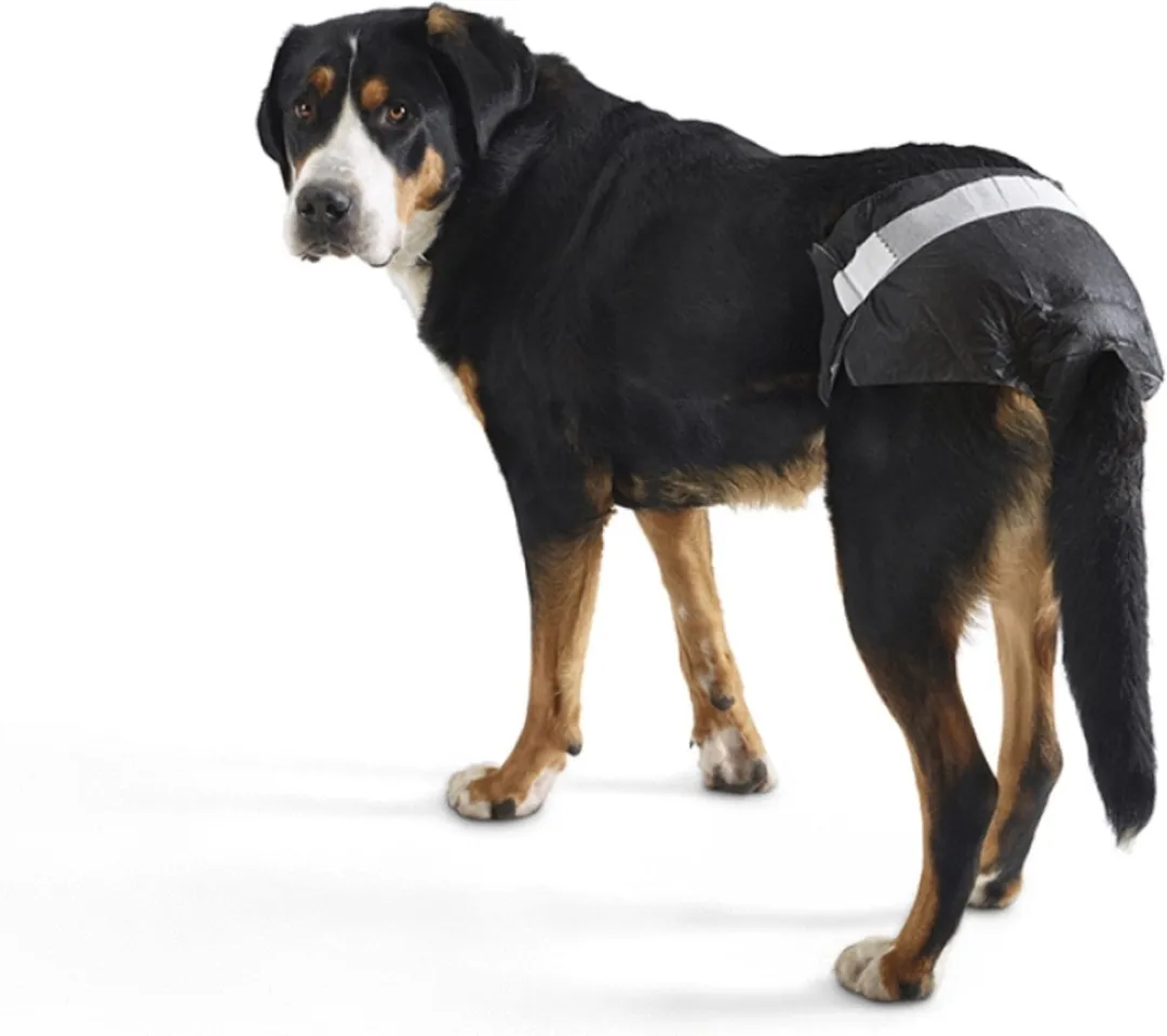 Savic Comfort Nappy Hondenluier XXL - 12 Stuks - 74-84cm