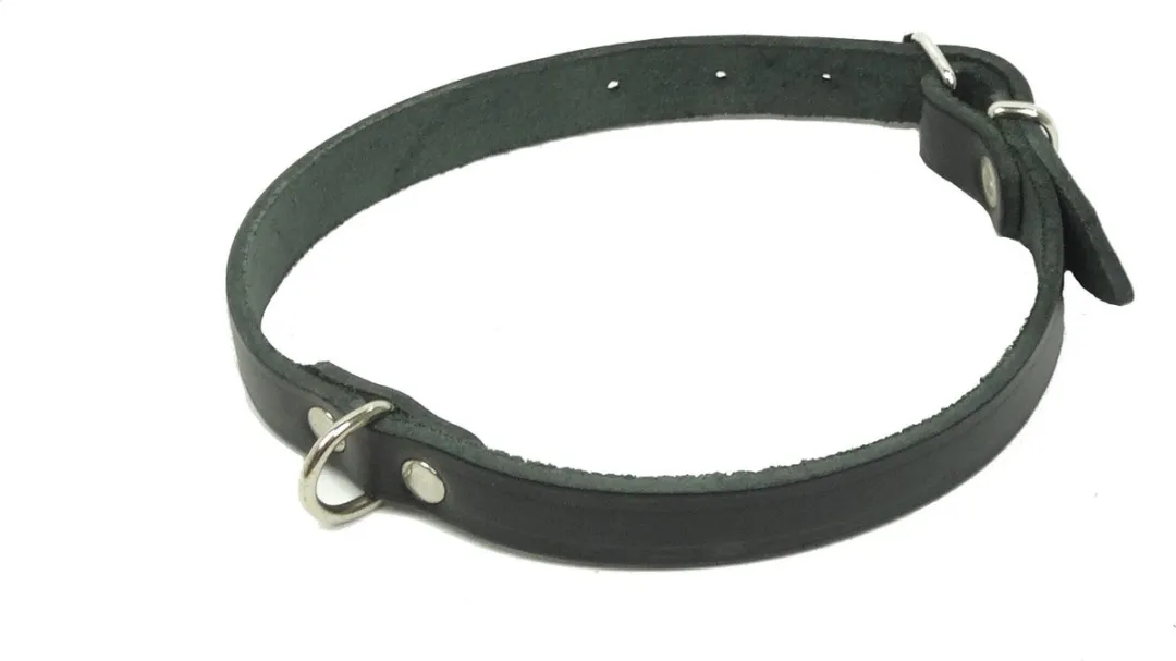 Kerbl Halsband Leer 27-33cm - Zwart