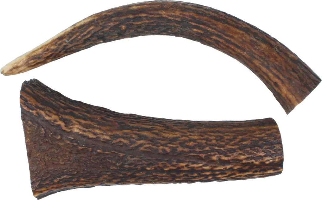 Hertengewei – Maat M (100–150 g) – 100% Natuurlijk Kauwbot voor Honden