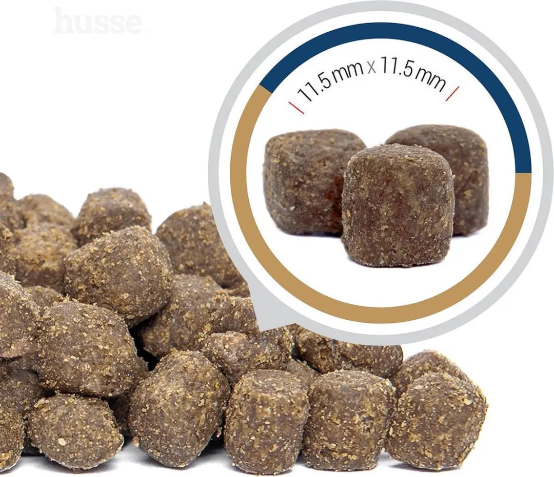 Husse Opus Ocean Zalm & Aardappel Hondenbrokken - 5x150g