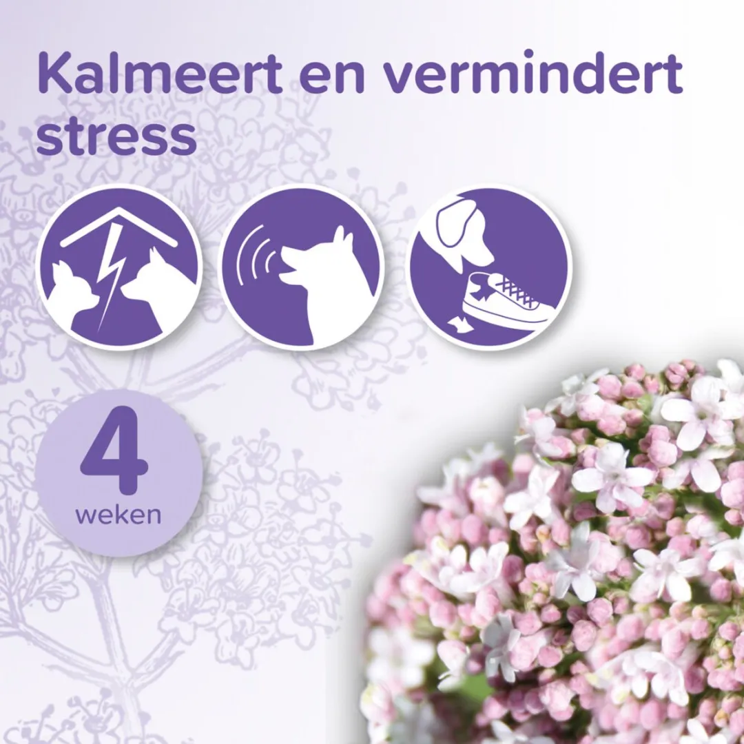 Beaphar No Stress Navulling Hond 30ml