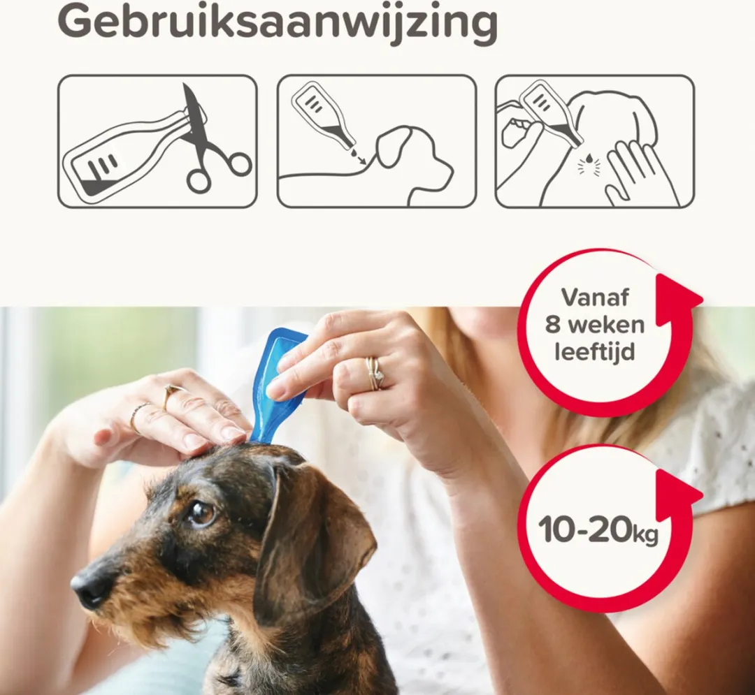 Beaphar Combotec Hond 10-20kg Anti Vlooien & Teken 2ml
