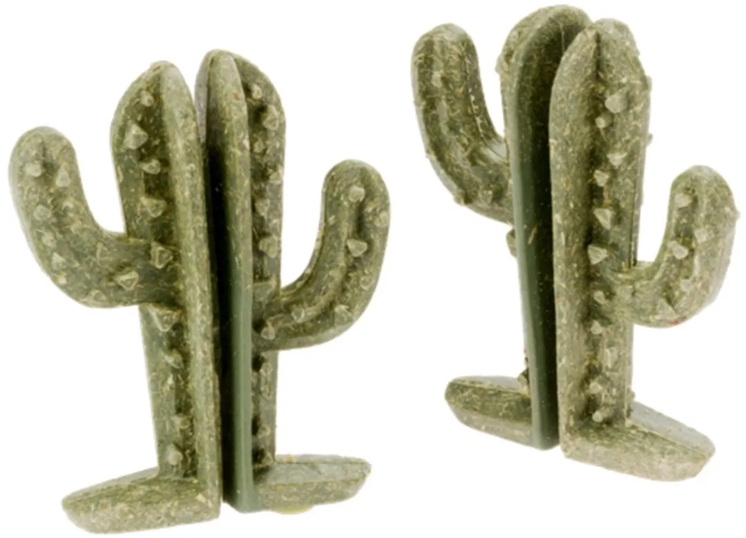 Ferplast Veggie Bites Cactus Knaagdiersnack