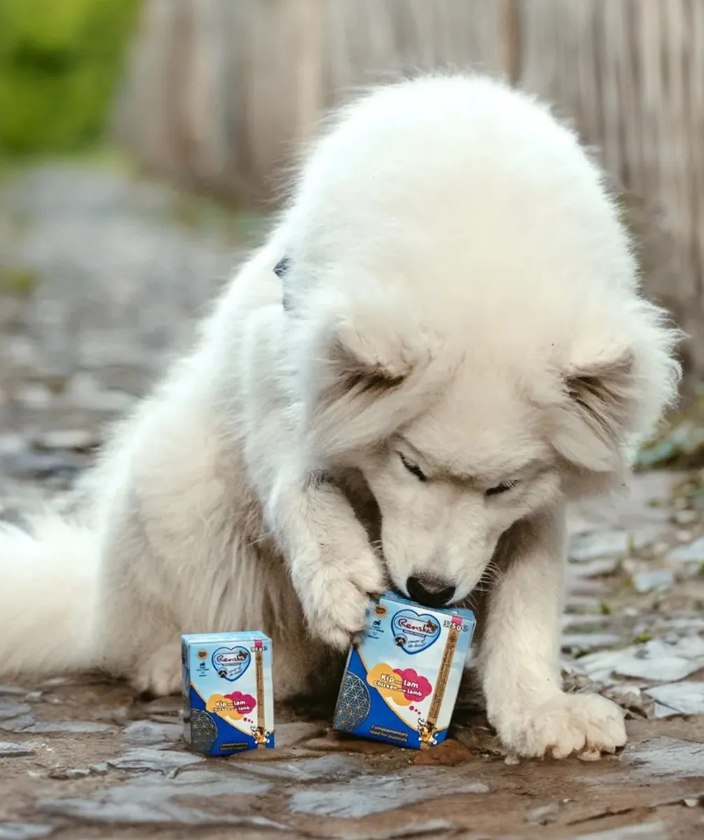 Renske Vers Puppy Hondenvoer - Kip & Lam 375g