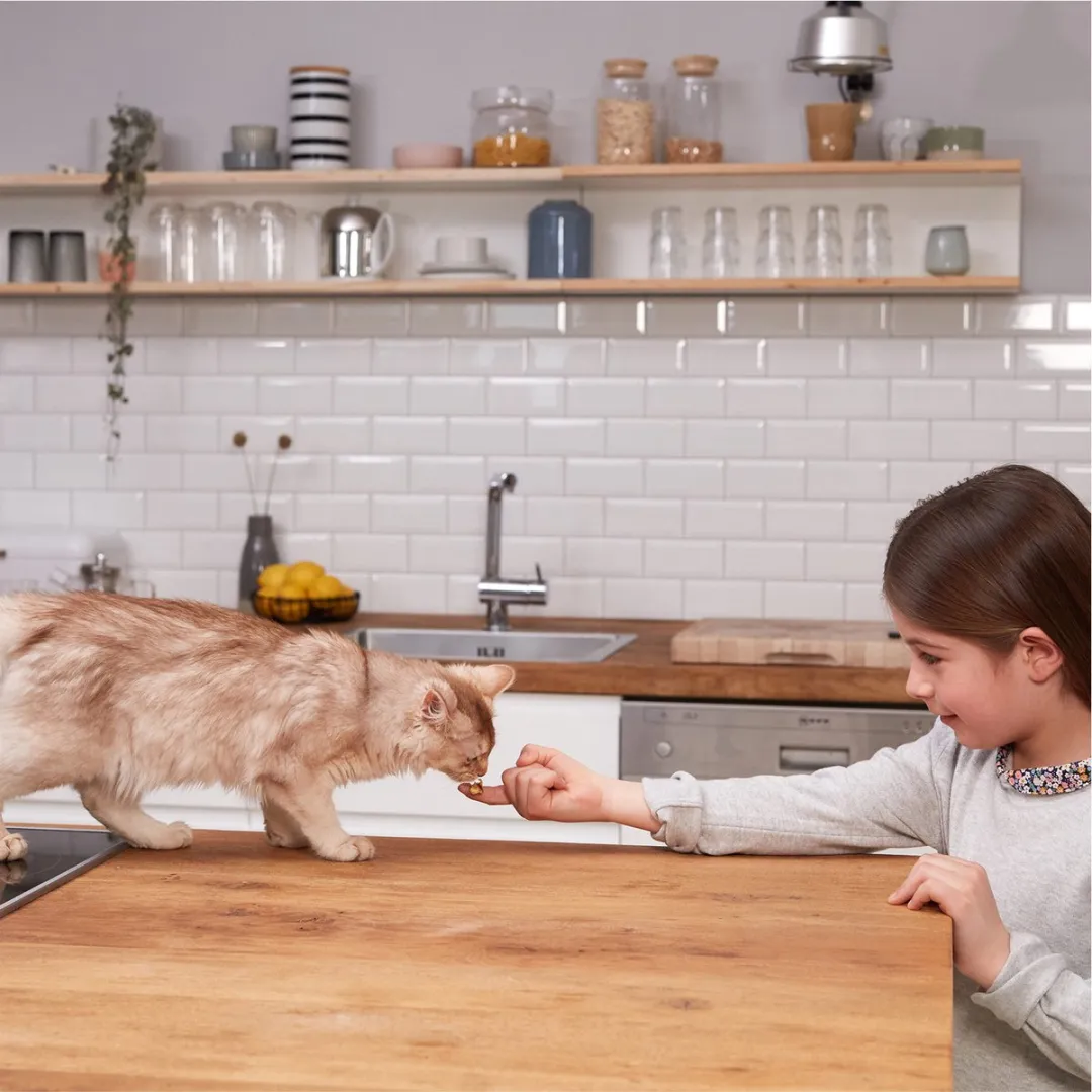 GimCat Yoghurt 8 Stuks