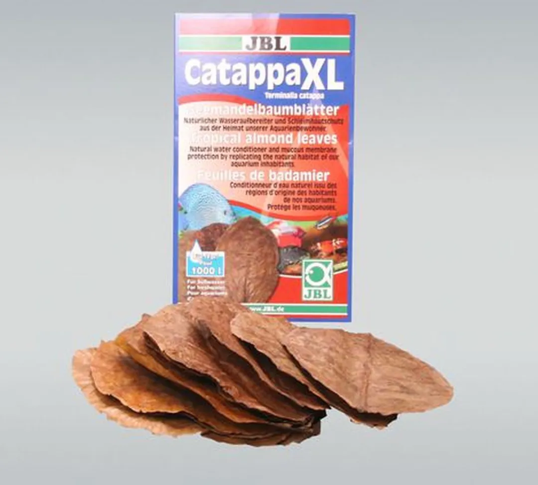 JBL Catappa XL Bladeren - 10 Stuks