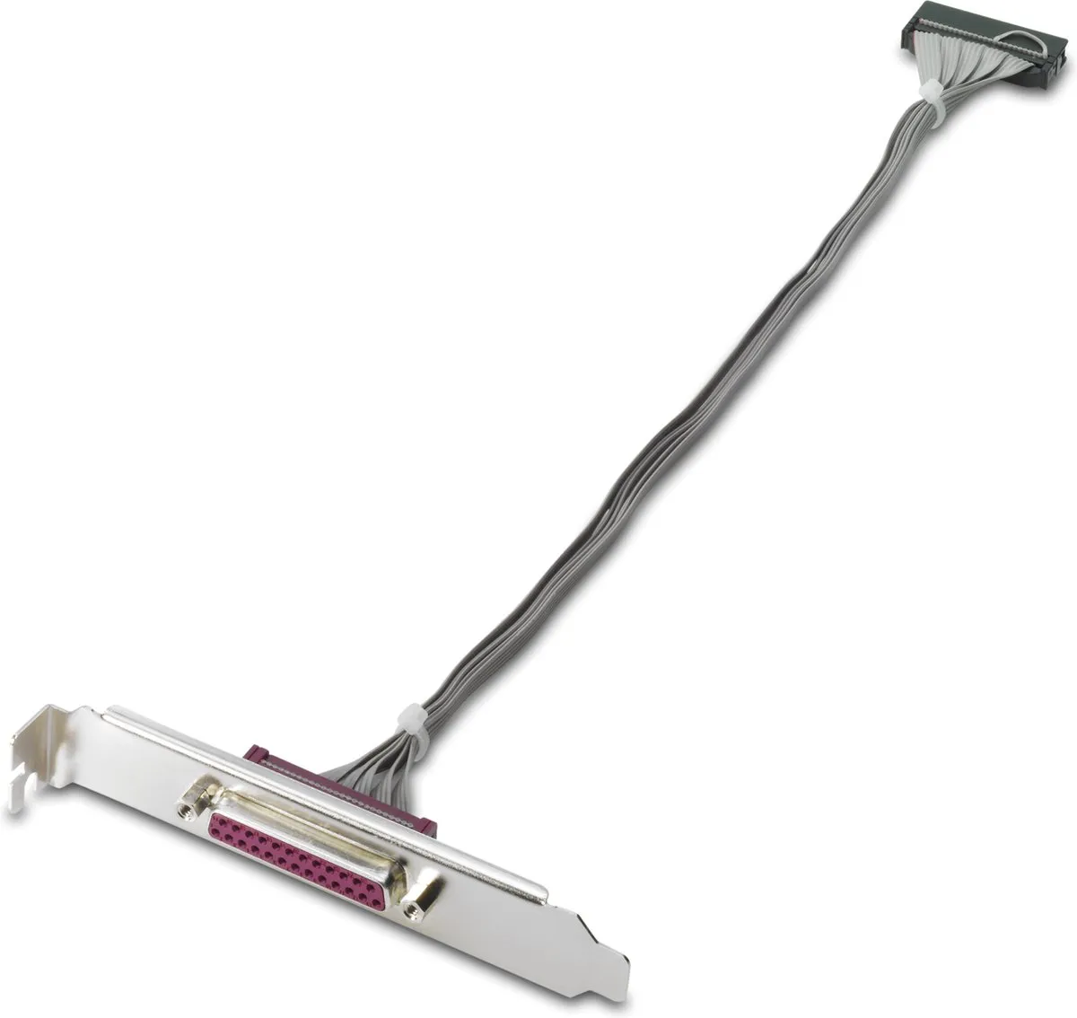 HP KD061AA Parallelle Poort Adapter - Grijs