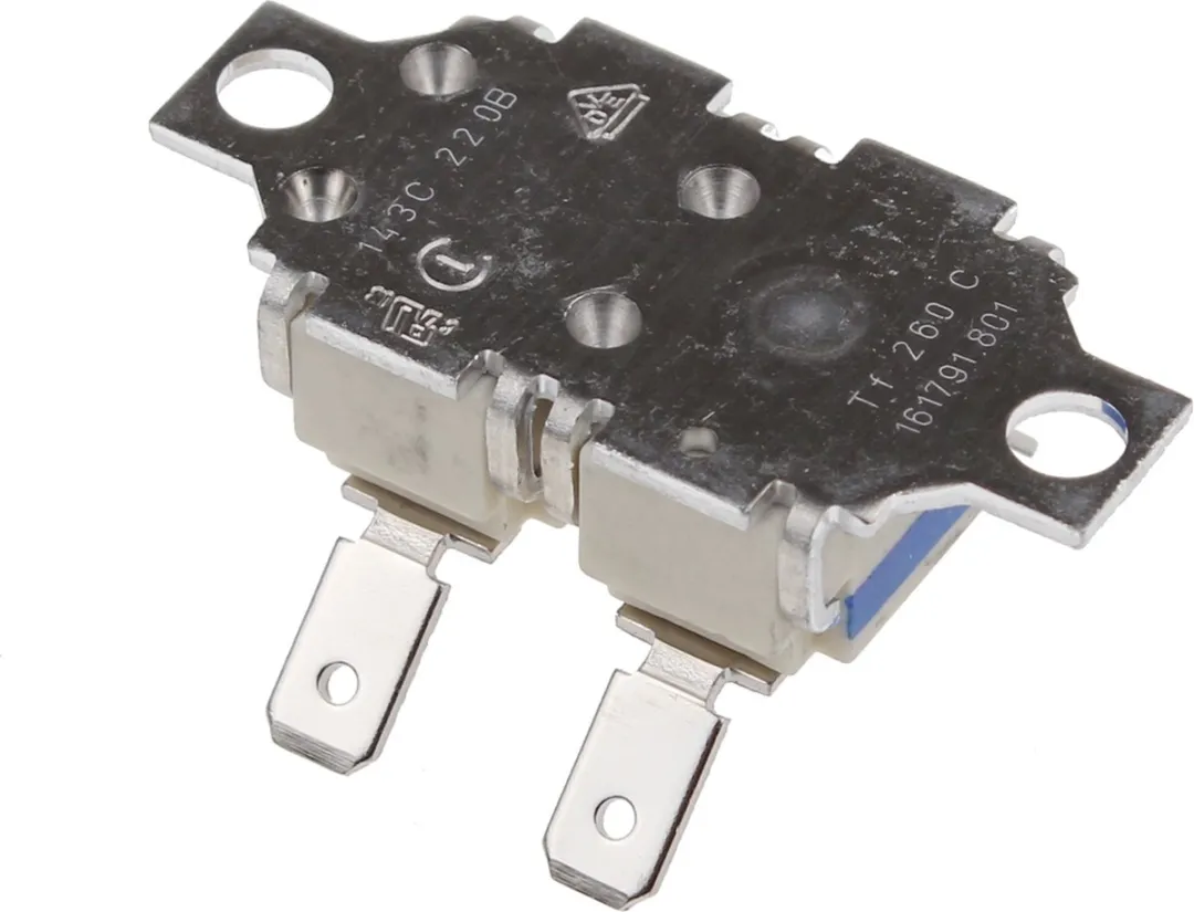 Kärcher TR-TS Thermostaat 66302690