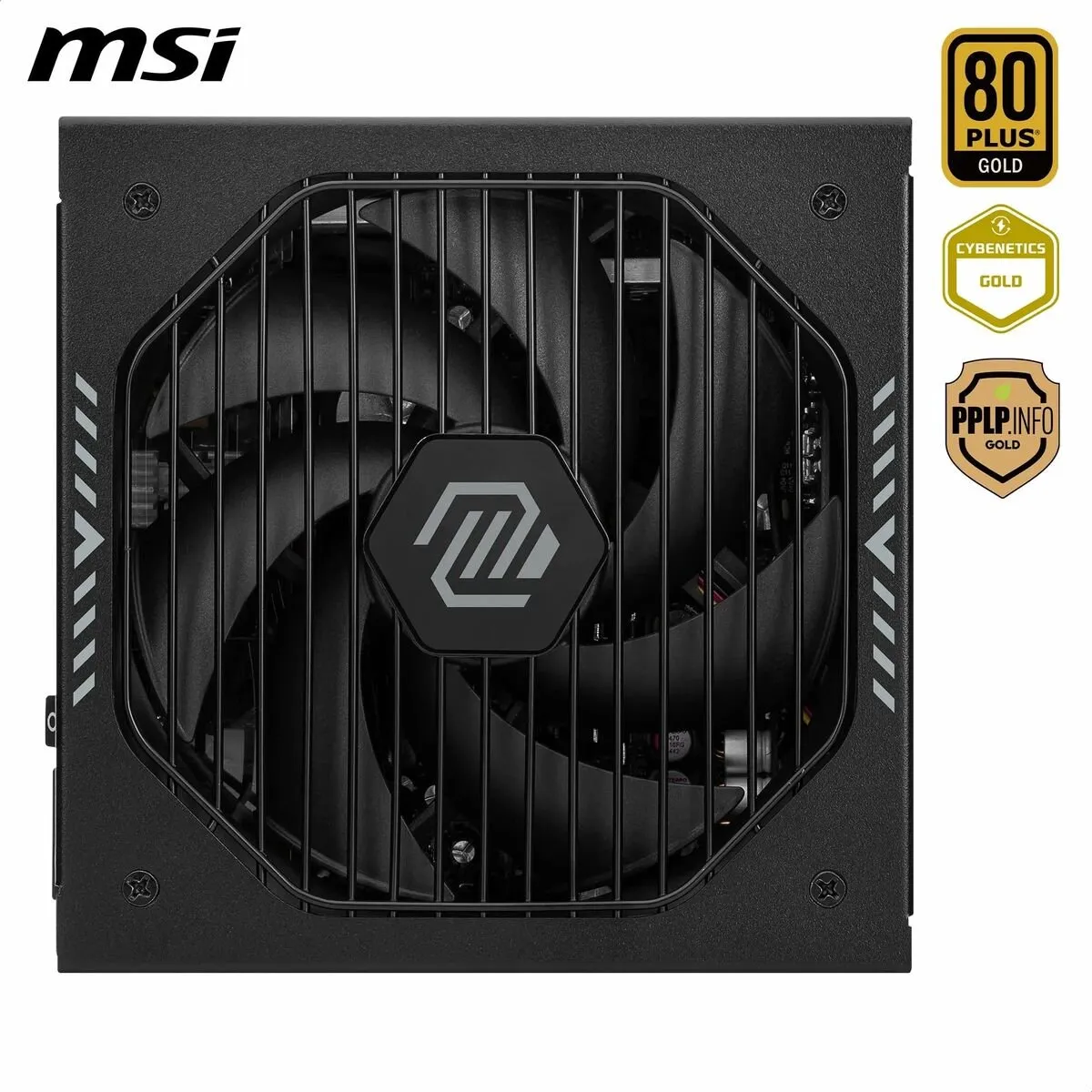 MSI 306-7ZP1B21-CE0 Voeding 1000W