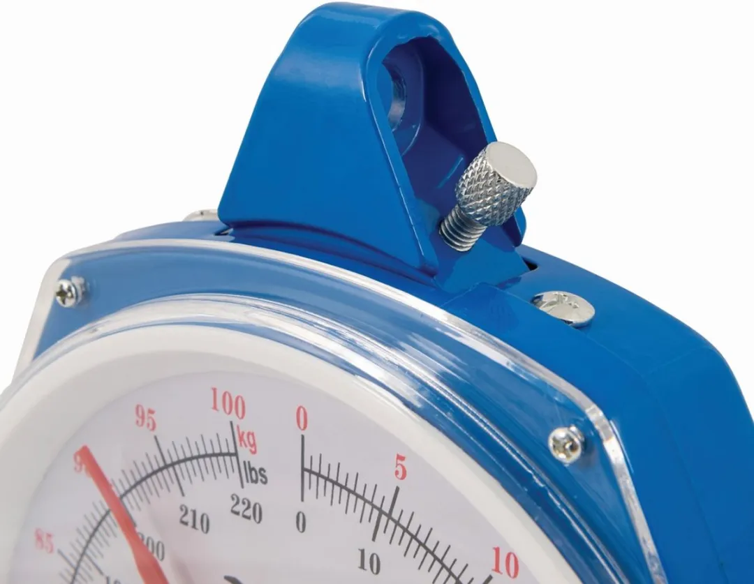 Silverline Hangweegschaal 200 kg - Zwart