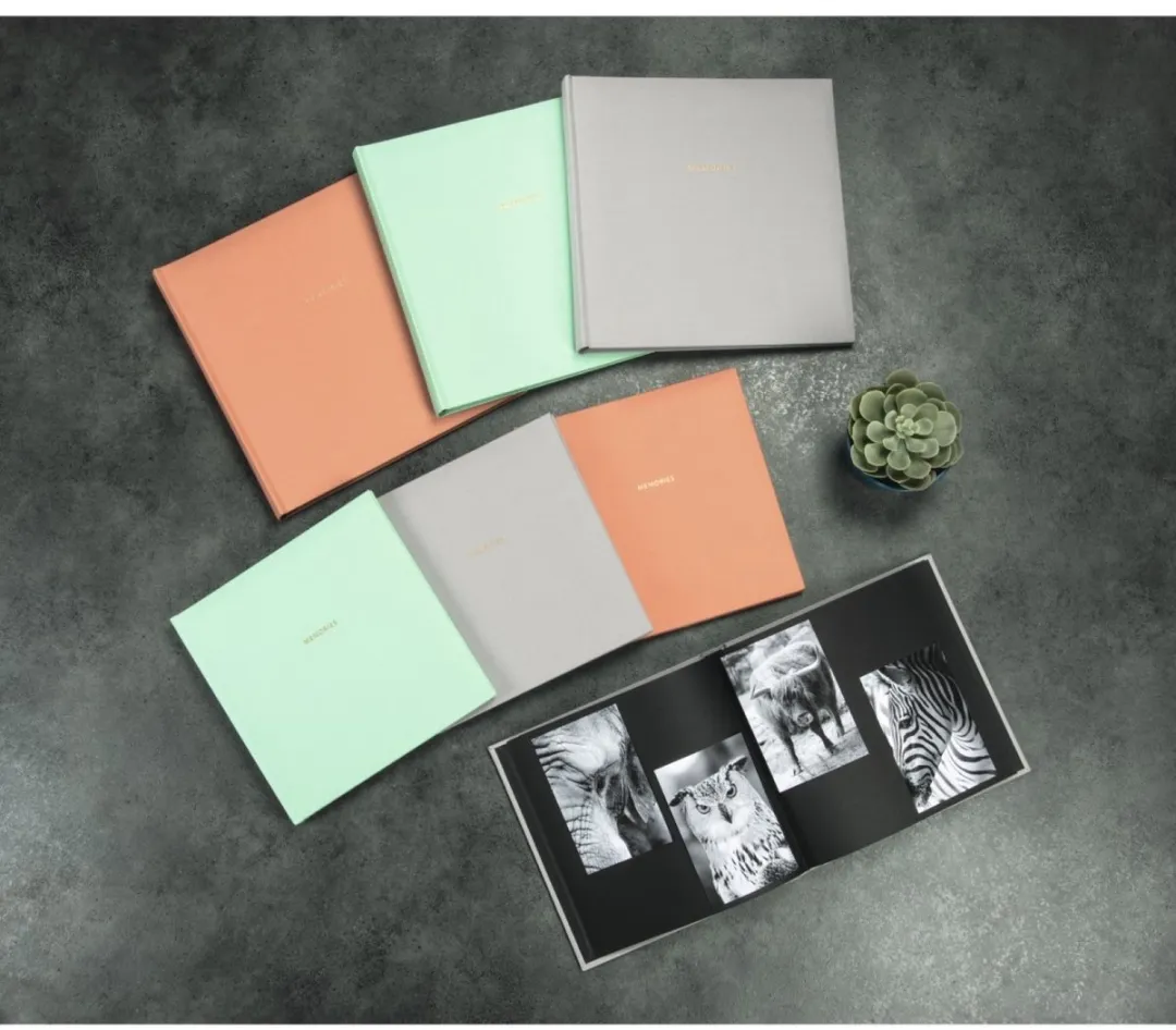Hama Jumbo Album Memories Zalm 7229 - 50 Pagina's 10x15cm