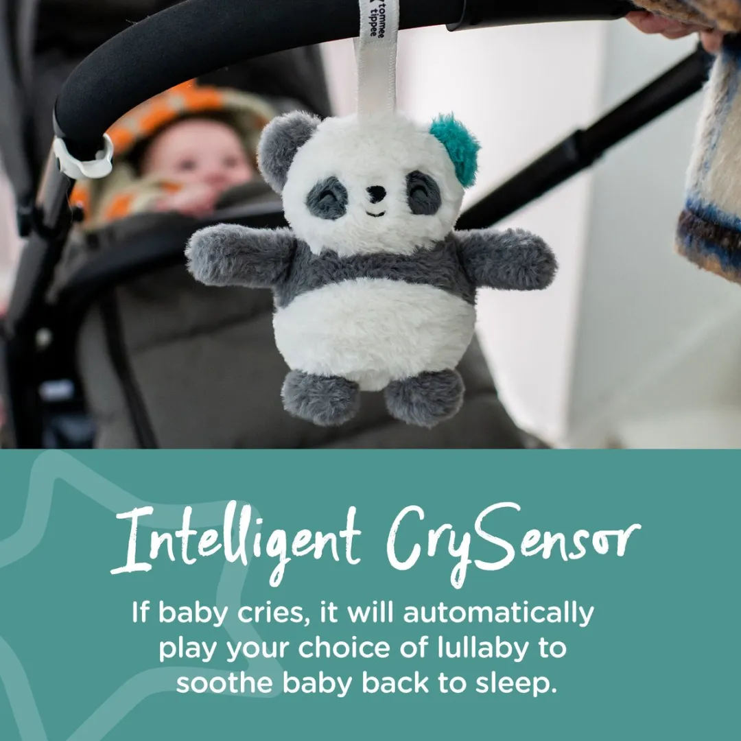 Tommee Tippee Pippo de Panda Oplaadbare Minislaaptrainer - Grijze Mini