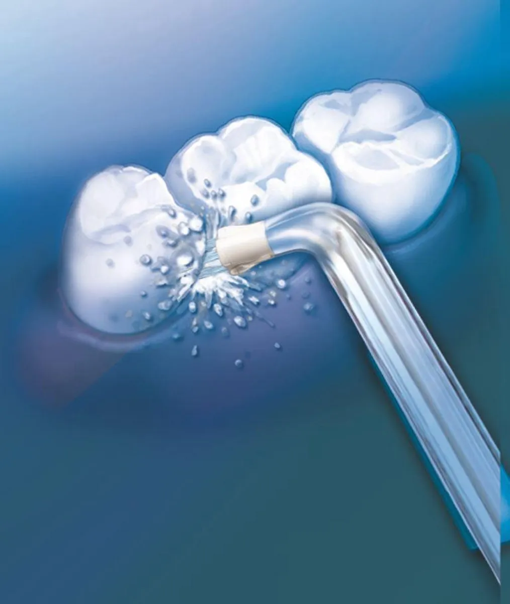 Waterpik Plaque Seeker PS100 Opzetborstels - 2 Stuks