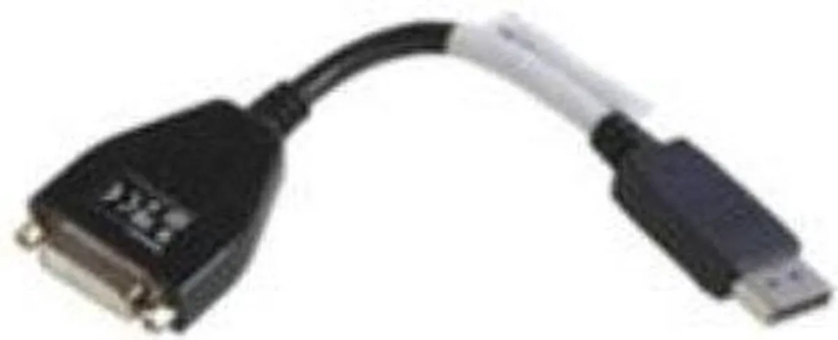 Lenovo 43N9160 DVI-D naar DisplayPort Kabel